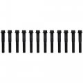 Fel-pro Es 72894 Cylinder Head Bolt Set