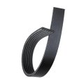V Ribbed Serpentine Belt For Workhorse Custom Chassis P32 2002 2005 6 Rib 0 807 In Top Width 2522 Mm Effective Length 88932802 