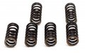 Heavy Duty Clutch Spring Kit Fits Xr 500r Xr500r 1981-1984 Repair Rebuild Heat-treated Springs 6x Ultra-durable 