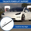 Rear Right Tailgate Power Lift Support For Tesla Model S 2012-2019 Liftgate Hatch Shock Strut No 600661000b 600661000a Electric
