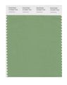 Pantone Smart 16-6324x Color Swatch Card Jadesheen 