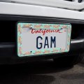 Leopard Gecko License Plate Tag Frame