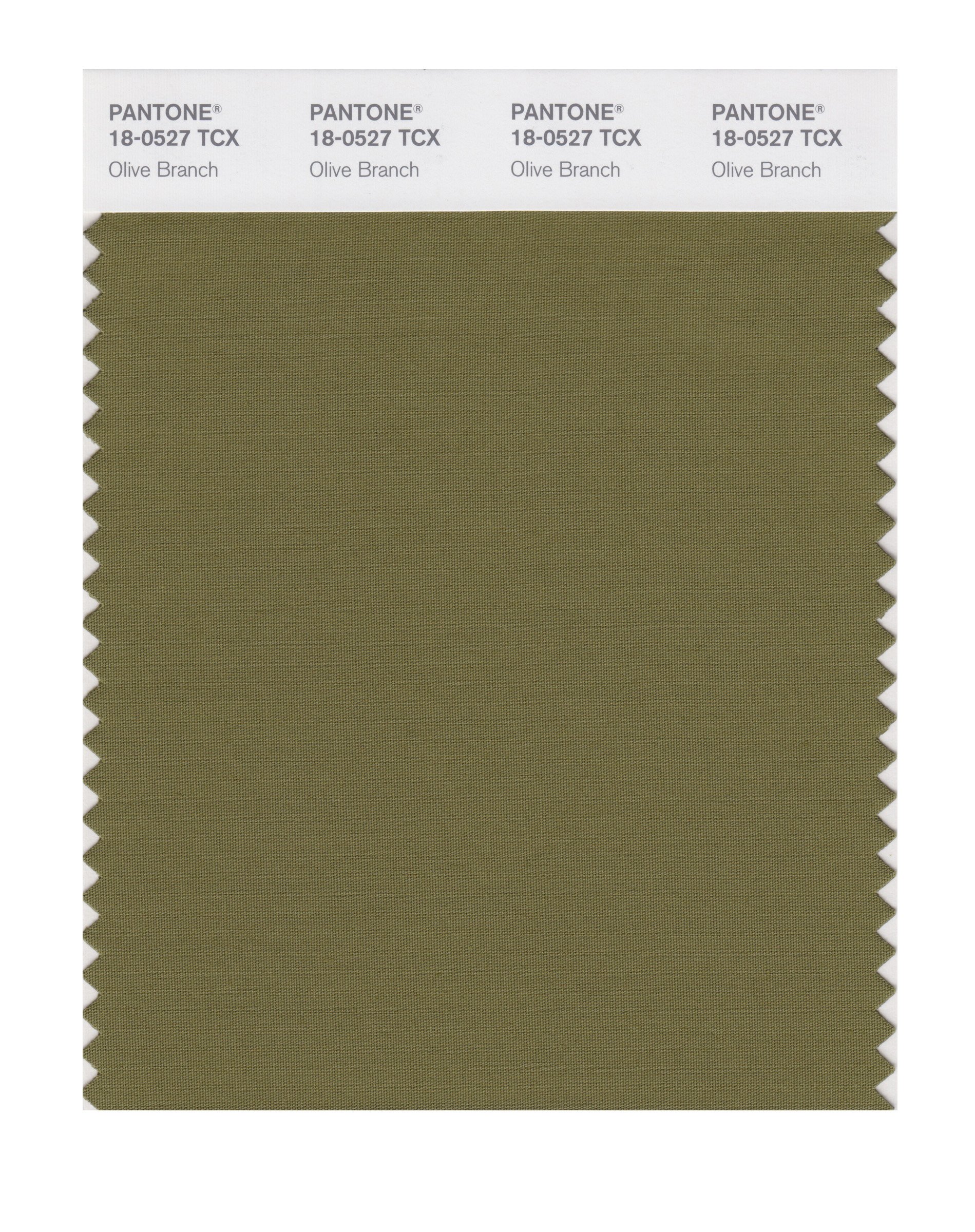 Pantone Smart 18-0527x Color Swatch Card Olive Branch