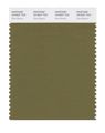 Pantone Smart 18-0527x Color Swatch Card Olive Branch 