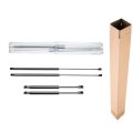 A-premium Hood And Tailgate Lift Supports Shock Struts Gas Spring Damper Replacement For Volkswagen Passat 1998-2005 Sedan 4-pc