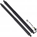 Ocpty Powered Lift Supports Gas Springs Struts Shocks Gb5z14b351a Gb5z78406a10a 25 19 24 53 Fit For Ford Explorer 2016-2019