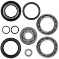 Caltric Rear Differential Bearing And Seal Kit Compatible With Honda Fourtrax Trx300 1996-2000 Trx300fw 1997-2000 41300-hm5-a10