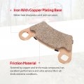 Front Rear Brake Pads Sintered For Ranger 400 425 500 570 700 Etx Tm 800-midsize M1400 Oem