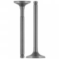 Caltric Intake And Exhaust Valve Compatible With Honda Sportrax 90 Trx90 Trx90ex Trx90x 1993-2020
