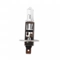 Anyray A1901a H1 12v 55w Halogen Automotive Light Bulb 55 Watt P14 5s Base Long Life 