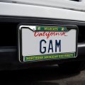 Northern Michigan University Mascot Full Size Standard License Plate Metal Frame