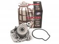 Evergreen Tbk224mwp2 For 96-00 Honda Civic 1 6l Sohc D16y7 D16y8 Timing Belt Kit Gmb Water Pump