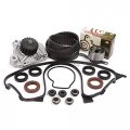 Domestic Gaskets Dg-0664433843 Timing Belt Water Pump Valve Cover Kit Compatible With Replacement For 92-95 Honda Civic Vx 1 5l