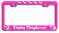 Italian Greyhound Dogs Pets Pn Metal License Plate Frame Tag Holder J33 