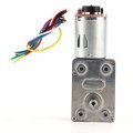 Dc 12v High Torque Turbine Worm Gear Motor With Encoder Strong Self-locking 10 20 30 40 100 Rpm 30rpm 