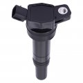 Applianpar Ignition Coil And Spark Plug For Hyundai Tucson Elantra Kia Soul Forte 1 8 2 0