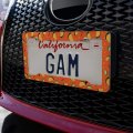 Delicious Taco Fiesta Pattern With Chili And Lime License Plate Tag Frame