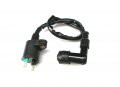 New Performance Ignition Coil For Honda Ruckus Nps50 Nps 50 Scooter