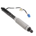 A-premium Rear Trunk Right Power Lift Support Shock Strut Compatible With Bmw G30 530e Xdrive 530i 540d 540i Sedan
