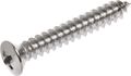 The Hillman Group 44920 8 X 1-1 4-inch Jackson Head Trim Screw Chrome 20-pack 