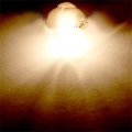 Ocpty 161 168 184 192 193 259 280 T10-6-3020-smd-white T10 Twist Lock T5-1-5050-smd-white