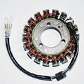 Ricks Motorsport Electric Stator 21-211 