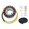 Electrosport Esg520 Stator 3-phase Heavy Duty 