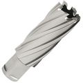 Hougen 12232 1-inch Diameter Rotabroach 2-inch D O C 