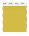 Pantone Smart 14-0740x Color Swatch Card Bamboo 