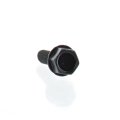 Hexagonal Forming Screw 210262050