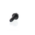 Hexagonal Forming Screw 210262050