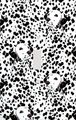 Dalmatian Collage Decorative Switchplate Cover 
