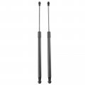 A-premium Rear Tailgate Lift Supports Shock Struts Compatible With Lexus Ct200h 2011-2017 Hatchback 2-pc Set