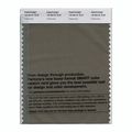 Pantone Smart Swatch 19-0510 Kalamata 