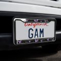 Purple Butterfly Watercolor Silhouette Full Size Standard License Plate Metal Frame