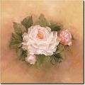 Burnished Roses Square I By Carolyn Cook Floral Flowers Ceramic Accent Tile 8 X Kitchen Shower Backsplash 