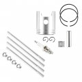 Caltric Cylinder Piston Ring Gasket Compatible With Yamaha Pw50 Y-zinger Yzinger 1981-2020 Bore 40mm
