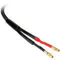 Parts Express 844632003585 Cable Pants 6mm 2-conductor Black Pack Of 10 