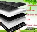 Car Floor Mats Fit For 95 Custom Style Luxury Leather All Weather Protection Liners Full Red Mat Red Line
