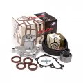 Domestic Gaskets Dg-0664429655 Timing Belt Gmb Water Pump Kit Compatible With Replacement For 84-94 Nissan 200sx 300zx D21 3 0l