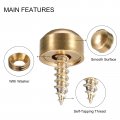 Uxcell 4pcs Decorative Screws With Caps 9mm Dia Brass Mirror Fixing Fasteners For Mirrors Tables Furniture Gold