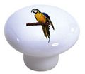 Set Of 2 Macaw Parrot Ceramic Cabinet Drawer Knobs 