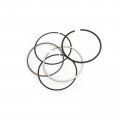 Topteng Engine Piston Ring Kit 73mm Std For Honda Xr250r 1996-2004 Xr 250r 13101-kce-670