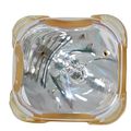 Sim2 Z930100701 Projector Original Bulb 