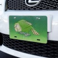Graphics More Kakapo The Flightless Owl Parrot Novelty Metal Vanity Tag License Plate