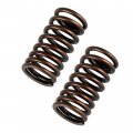 Caltric 2x Valve Springs For Suzuki Kingquad 750 Lta750xpz 4x4 Limited Axi Eps 2011 2012 2013 
