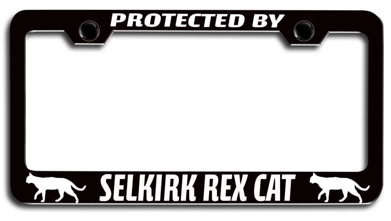 Protected By Selkirk Rex Cat License Plate Frame Black Heavy Duty Steel Metal Tag Holder For Us And Canada Vehicles 12 5 X 6 In