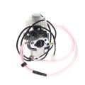 Cnfaner Carburetor For Predator 3500 Watts Inverter 63584 Generator Carb With Gaskets Kit 