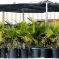 Shade Net Tarp Construction Fence Dust And Wind Canopy Panel Koi Pond Screen 18 X24 Black Multi-purpose