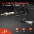 A-premium O2 Oxygen Sensor Compatible With Toyota Camry 2003-2006 Corolla 1995-2002 Paseo 1995-1998 Avalon 1997-2004 Chevrolet